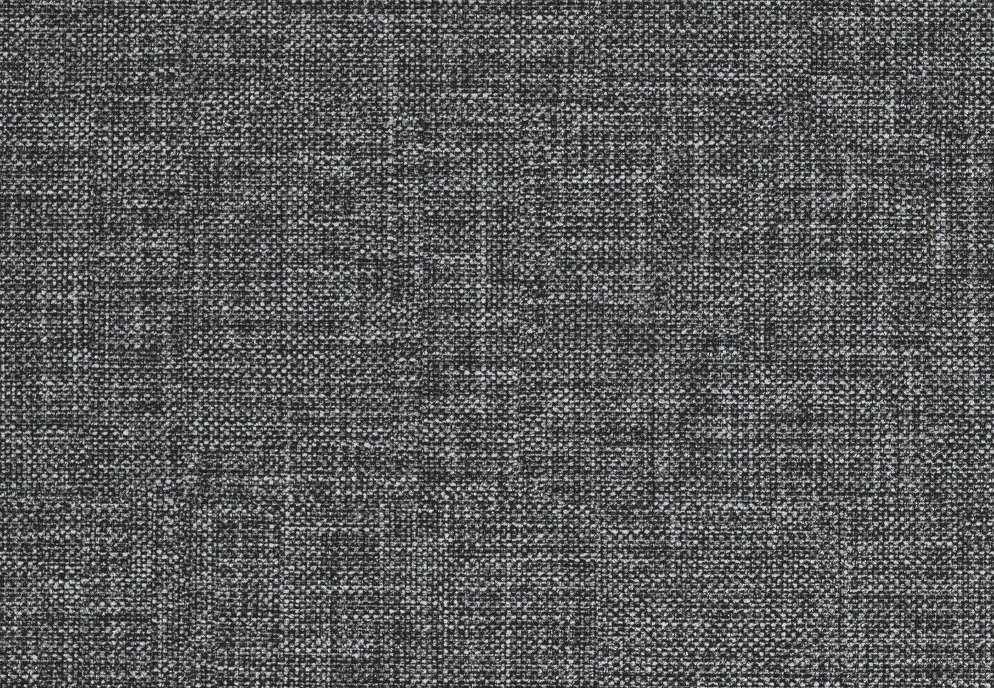 555492841