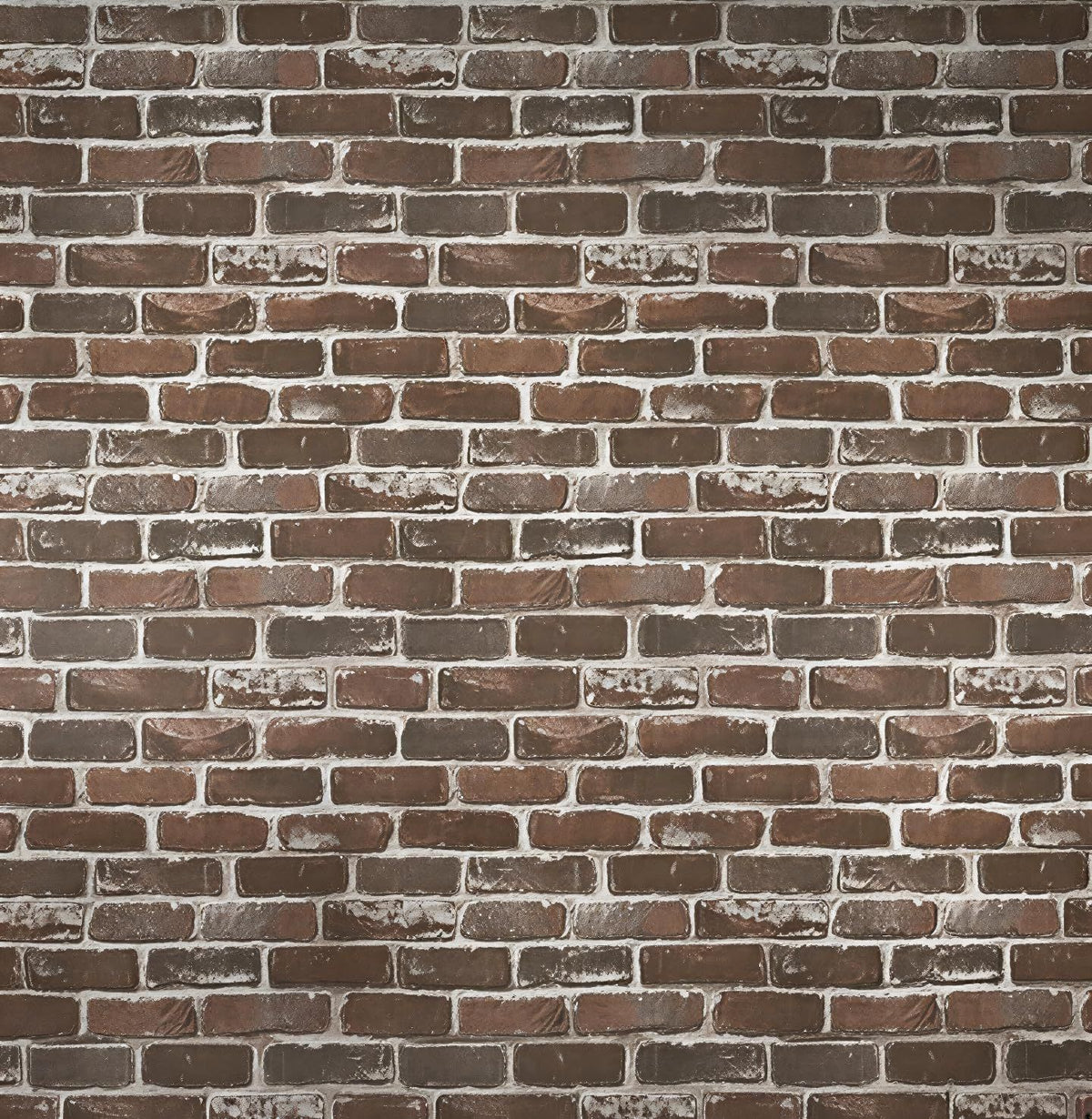 557592681