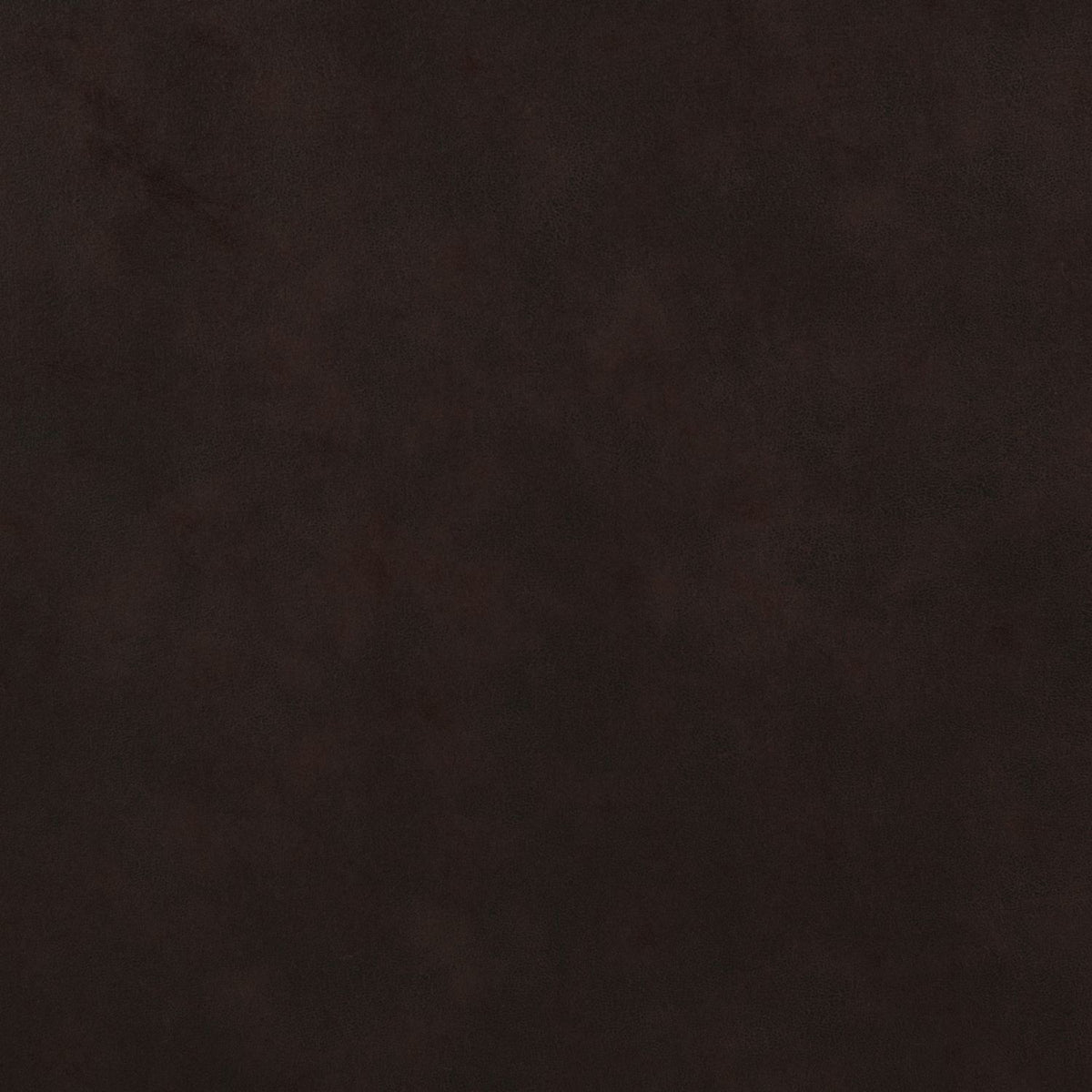 561137681